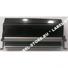 Zebra: ZM600 (168ММ) - 300 DPI, 79804M
