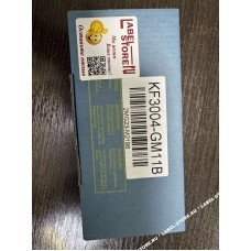 Bizerba: GLM-I 150(104mm) - 300DPI, KF3004-GM11B