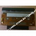 Domino: V200 (53mm) -300 DPI, KCE-53-12PAJ1-ESP (без шлейфа), 57 667.55Р. Domino: V200 (53mm) -300 DPI, KCE-53-12PAJ1-ESP (без шлейфа), 57 667.55Р.